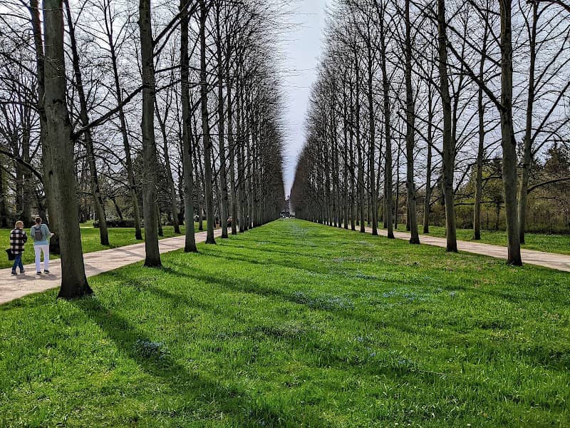 Lindenallee - Image 1