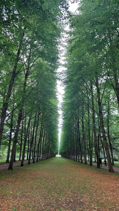 Lindenallee - Image 2