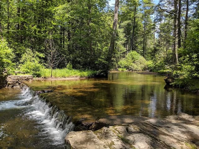 Caledonia State Park - Image 2