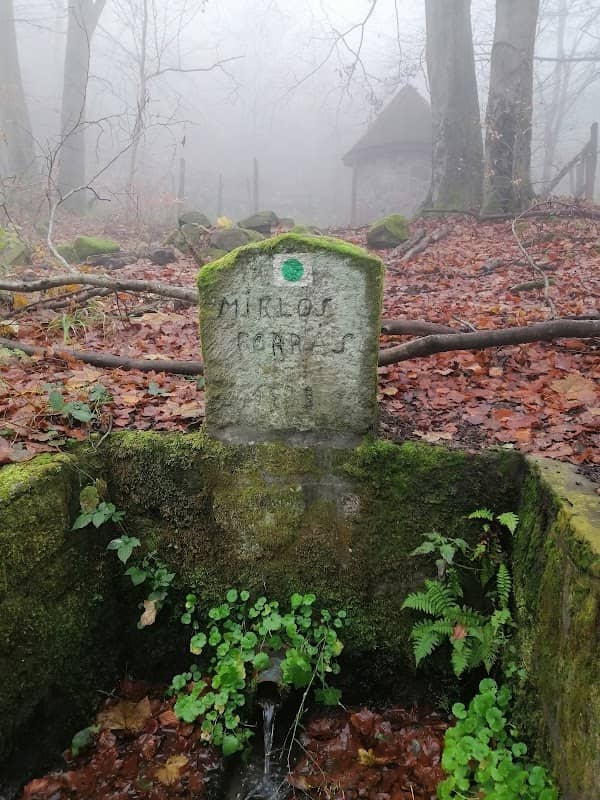 Miklós-forrás - Image 1