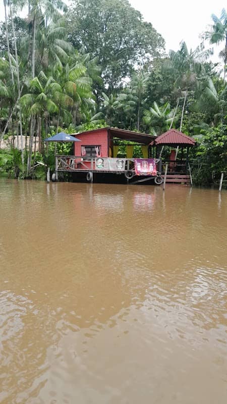 Cobra da Ilha - Image 1
