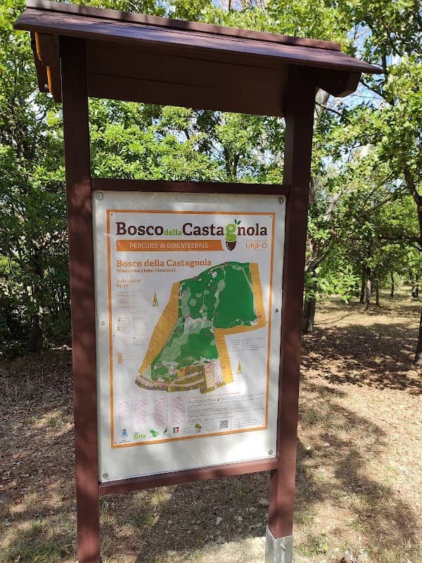 Bosco della Castagnola - Image 1