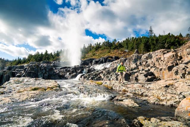 East Coast Trail Association - Image 3