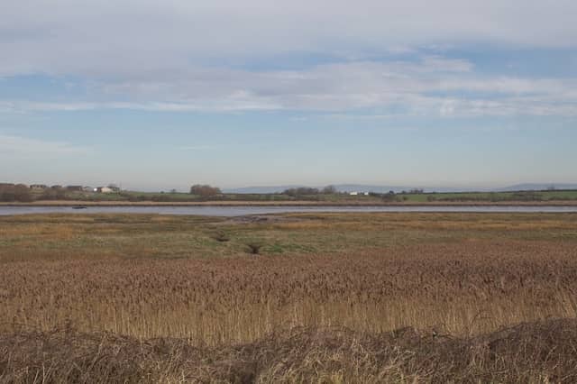 Stanah Estuary / ICI - Image 1