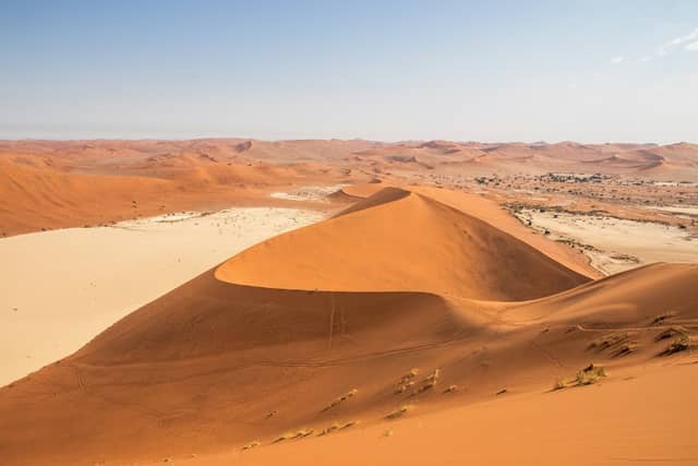 Big Daddy Dune - Image 1
