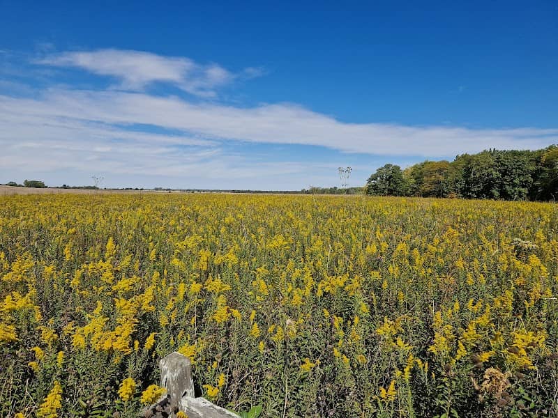 Point Pleasant Hiking Trail - Image 1
