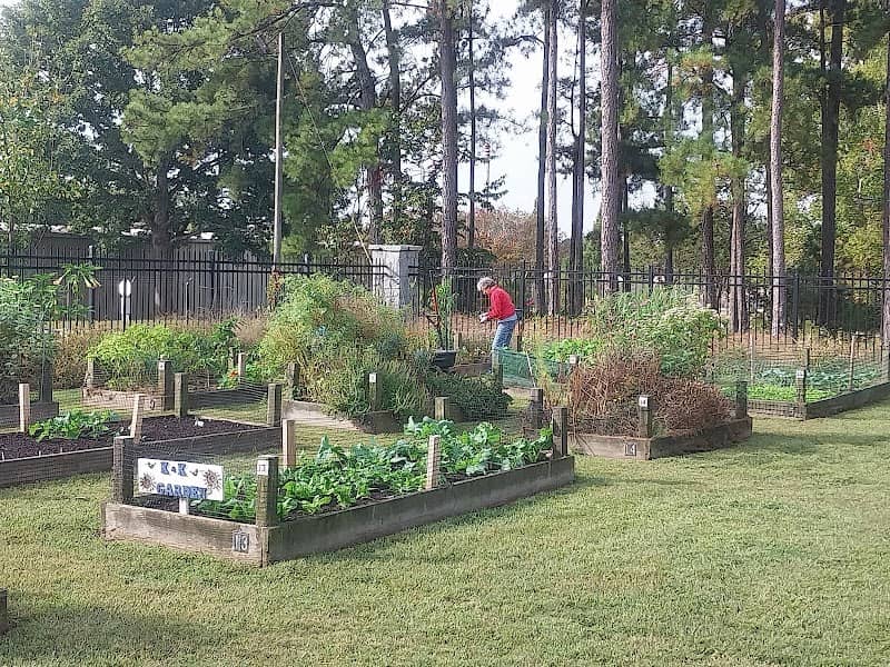 The Community Garden @ Snellville - Image 2