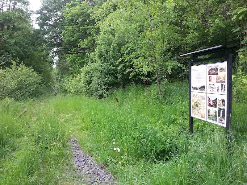 Pomník zajetí generála Vandamma v bitvě 1813 - Image 1