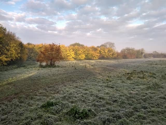 Meadow Park - Image 1