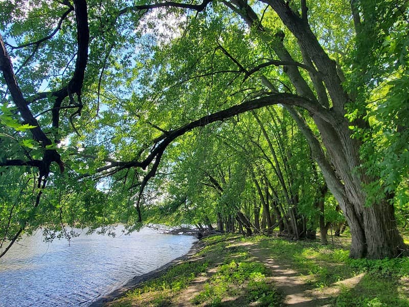 Crow River Canoe Launch - Image 1