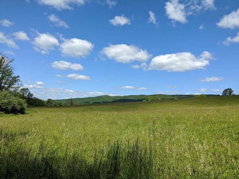 Heritage Community Park and Natural Area - Image 1
