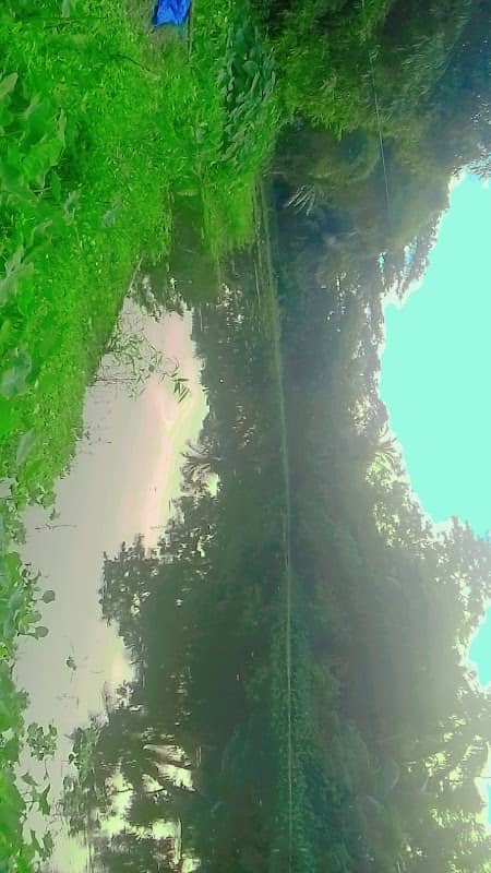 এইসডিএম প্রয়োজেষ্ট - Image 1