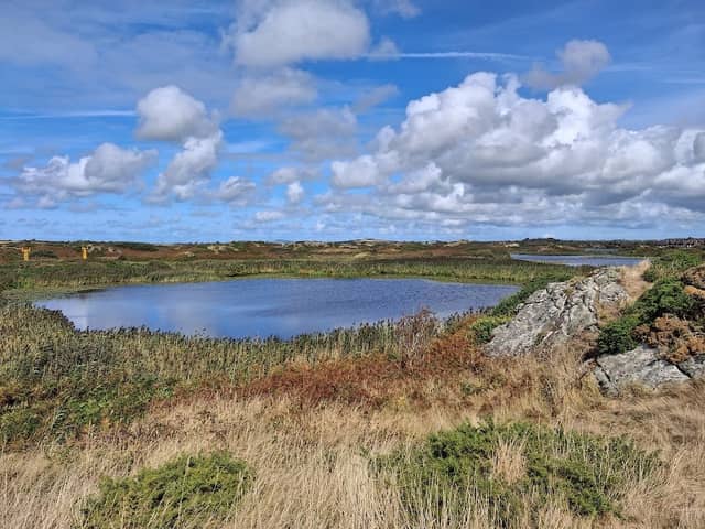 RSPB Valley Wetlands - Image 1