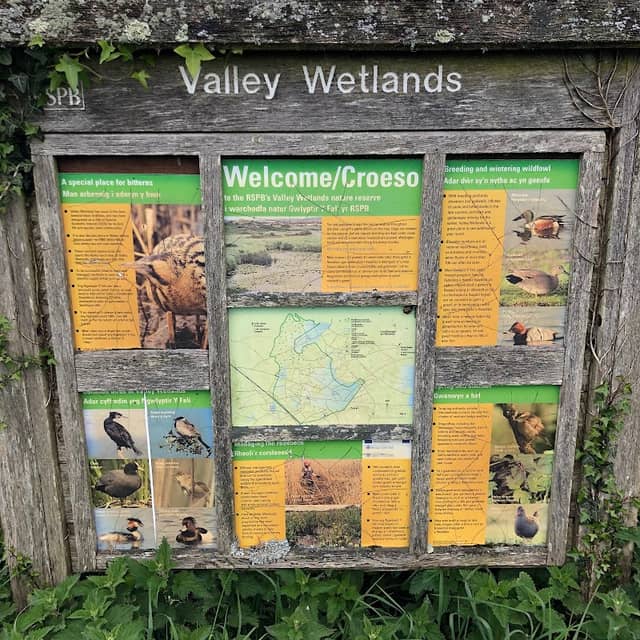RSPB Valley Wetlands - Image 2