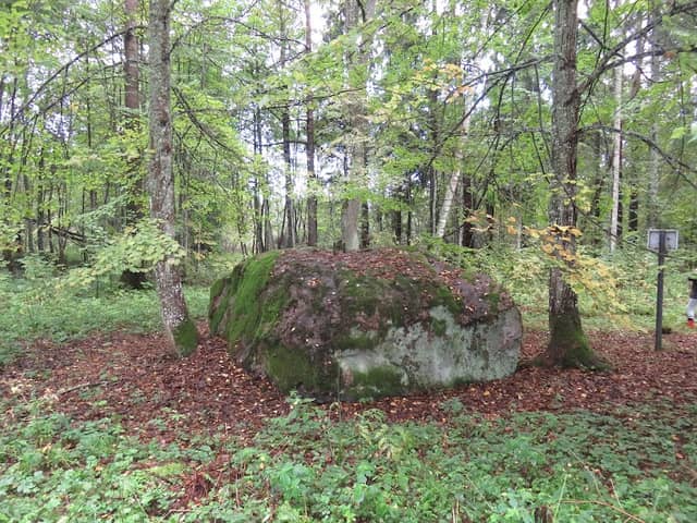 Kalevipoja viskekivi e. Apollo kivi - Image 1