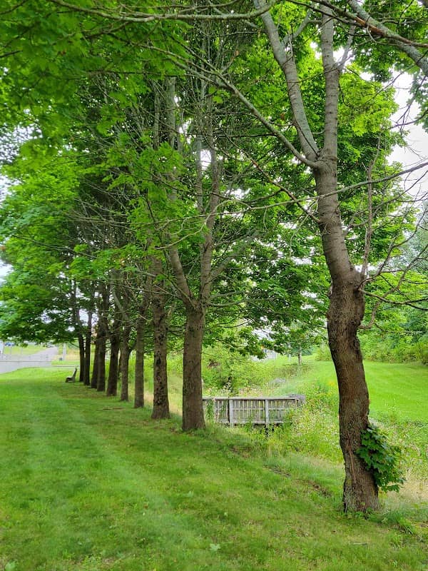 Christie Pond Park - Image 1
