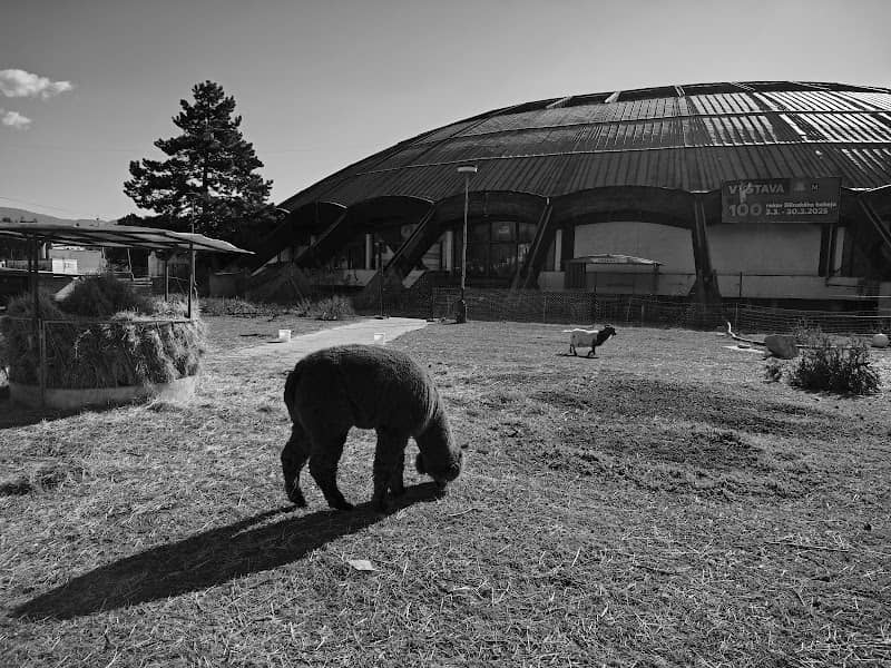 Mini ZOO - Image 2