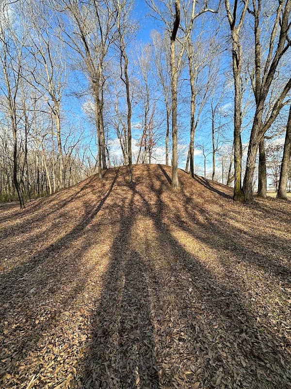 Batesville Mounds - Image 2
