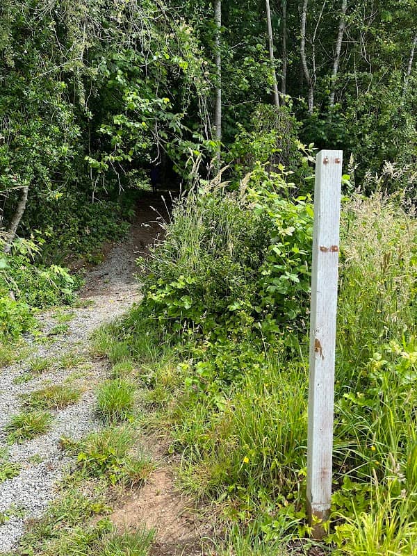 Mossyrock Rock Trailhead - Image 1