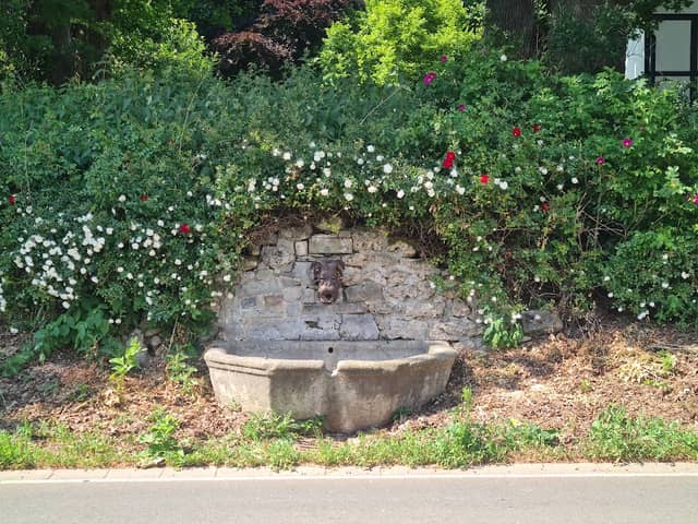 Wasserspeier-Brunnen, Ostenwalde - Image 1