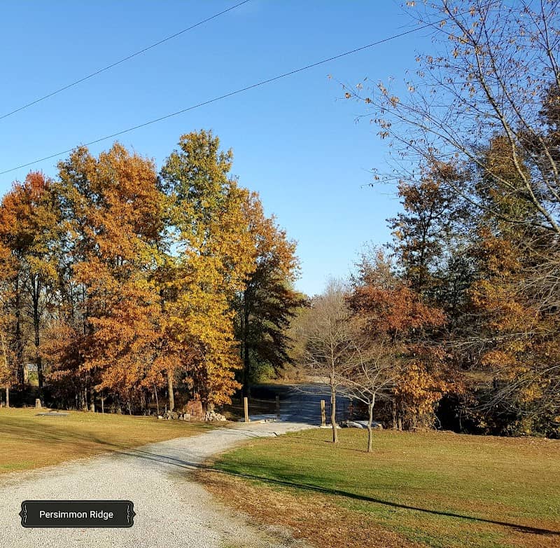 Fletcher's Persimmon Ridge - Image 1