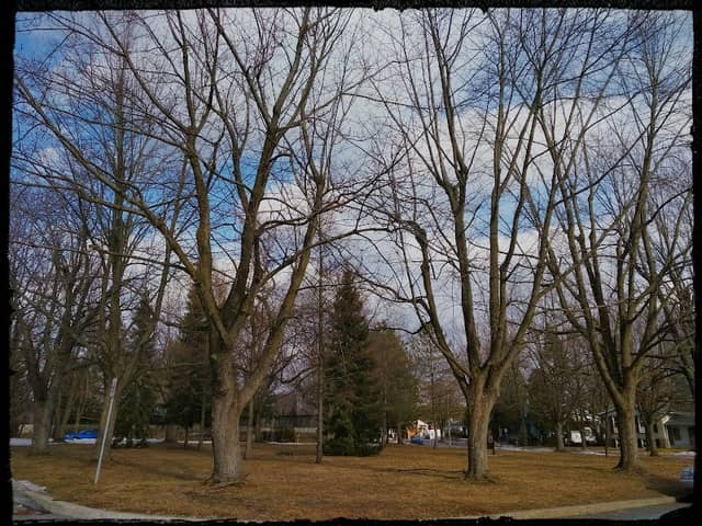 Parc Sainte-Augustine - Image 2