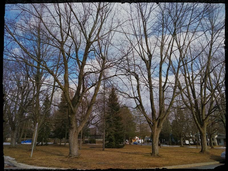 Parc Sainte-Augustine - Image 2