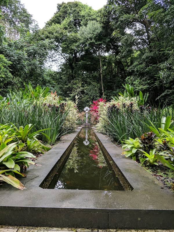 Botanical Garden of Recife - Image 1