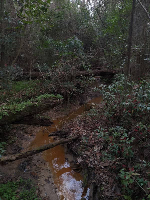 Barnette and Sally Allen Nature Preserve - Image 3