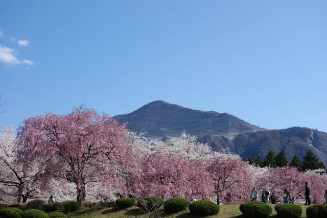 Hitsujiyama Park - Image 3