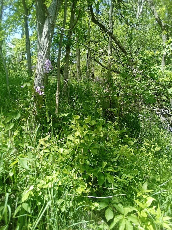 Polly Ann Trailhead - Image 1