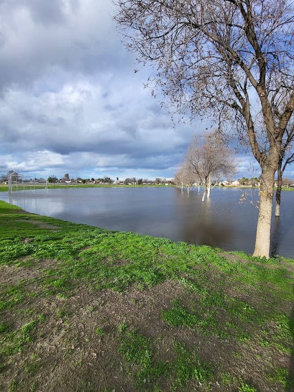 Lions Park - Image 1