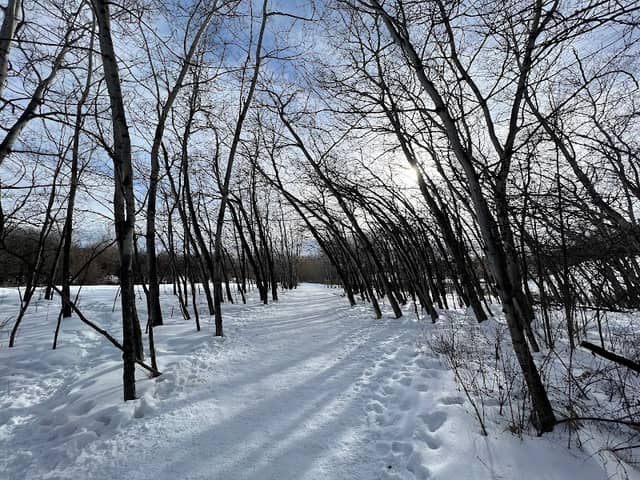 Grafs East Park - Image 1