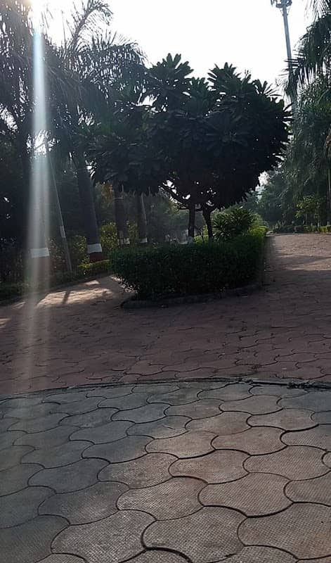 Pal Liner Park - Image 1