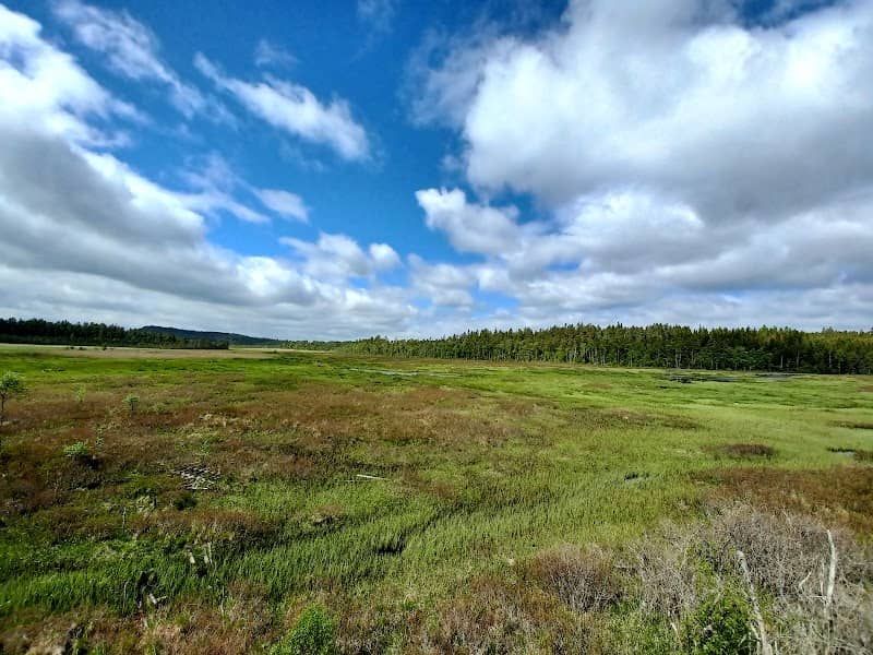 Vänga Mosse fågeltorn - Image 1