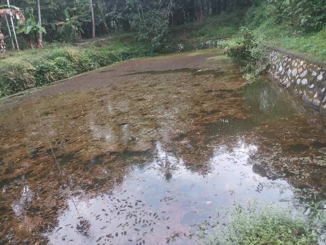 Valikonam Temple Pond - Image 2