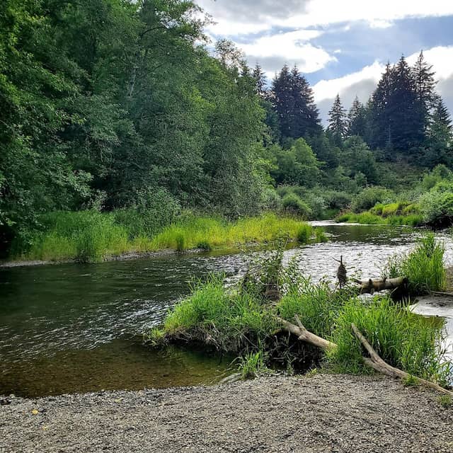 Pioneer Park - Image 1