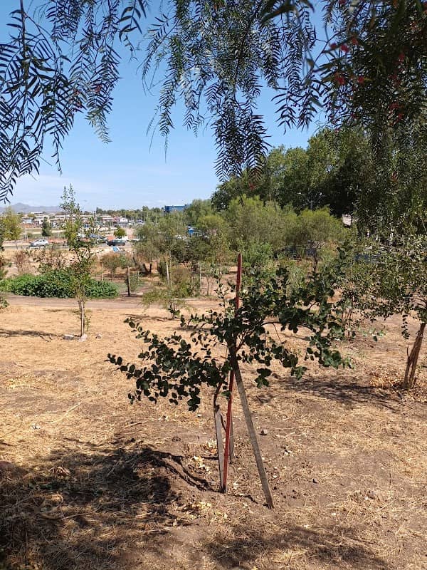 Plaza karakol - Image 1