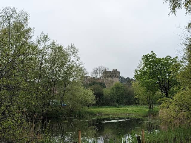 Ornamental Lake - Image 1