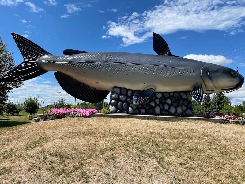 World's Largest Catfish - Image 1