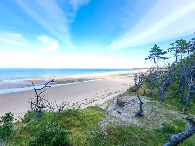 Roseisle Pine Forest & Park - Image 1