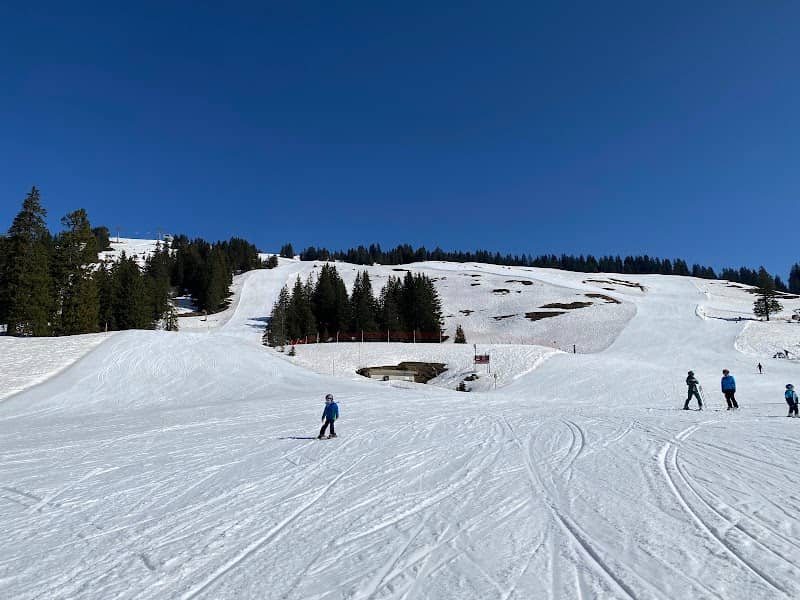 Laterns-Gapfohl - Image 1