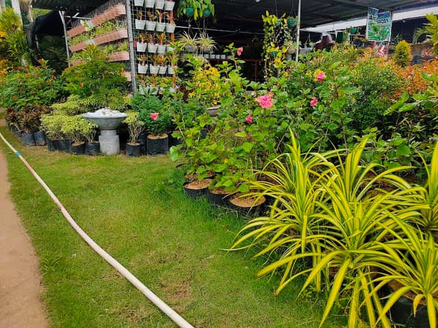 James' Garden - Image 2