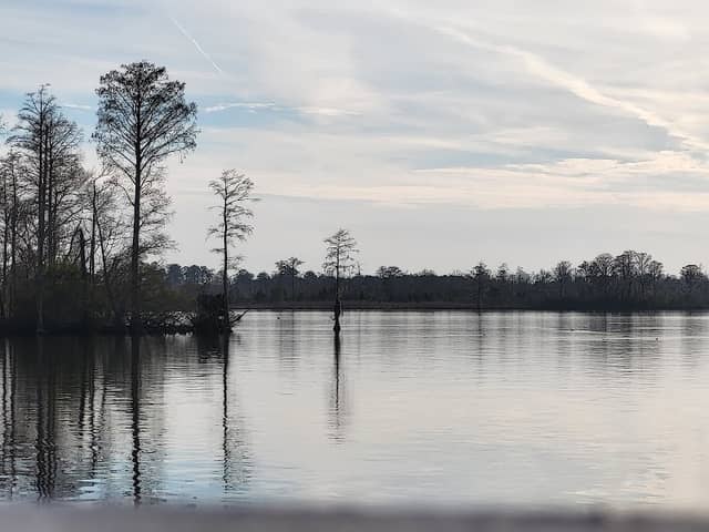 Waterfront Park - Image 1
