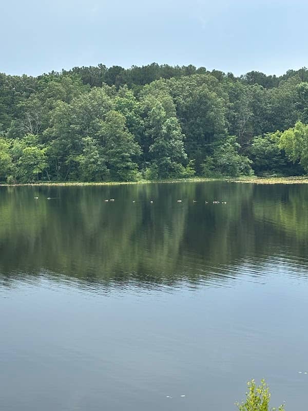 Glendale Lake - Image 1
