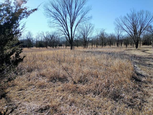 River Woods Nature Area - Image 1