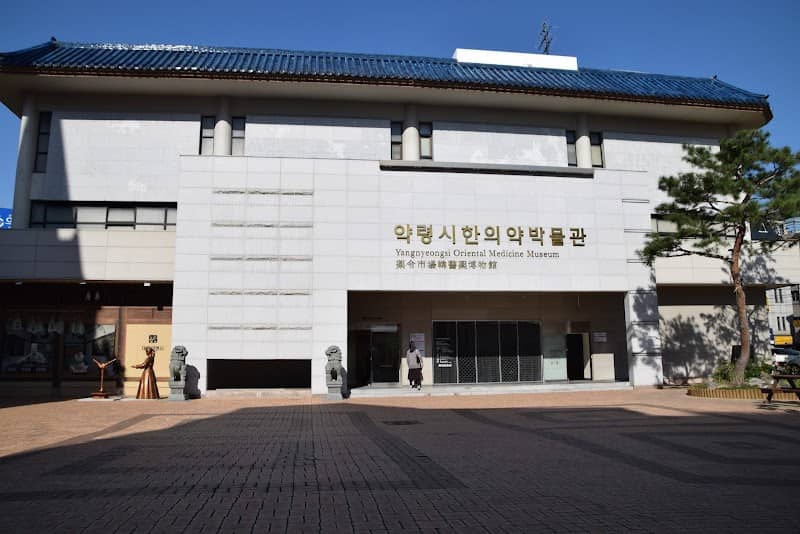 Daegu Yangnyeongsi Museum of Oriental Medicine - Image 1