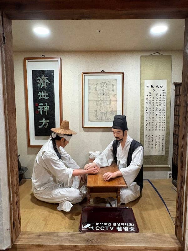 Daegu Yangnyeongsi Museum of Oriental Medicine - Image 2