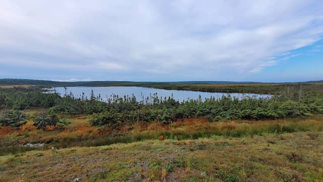 French Lake Look Out - Image 1