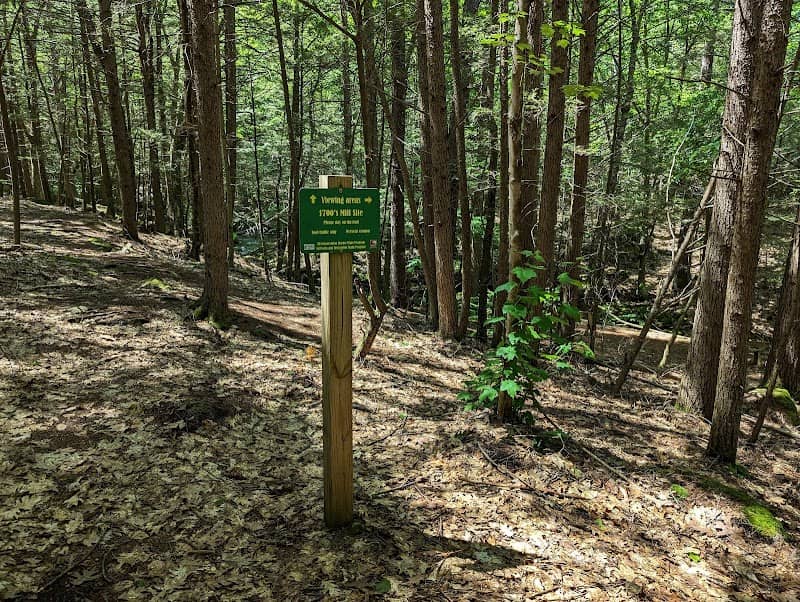 Isinglass River Conservation Reserve - Image 2